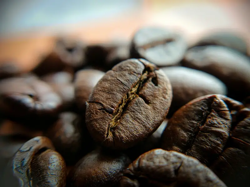 Inside the Roastline roastery