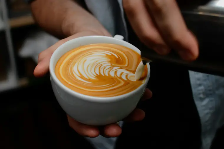 A latte poured with the Mercer Lane Blend, leaf pattern in the foam